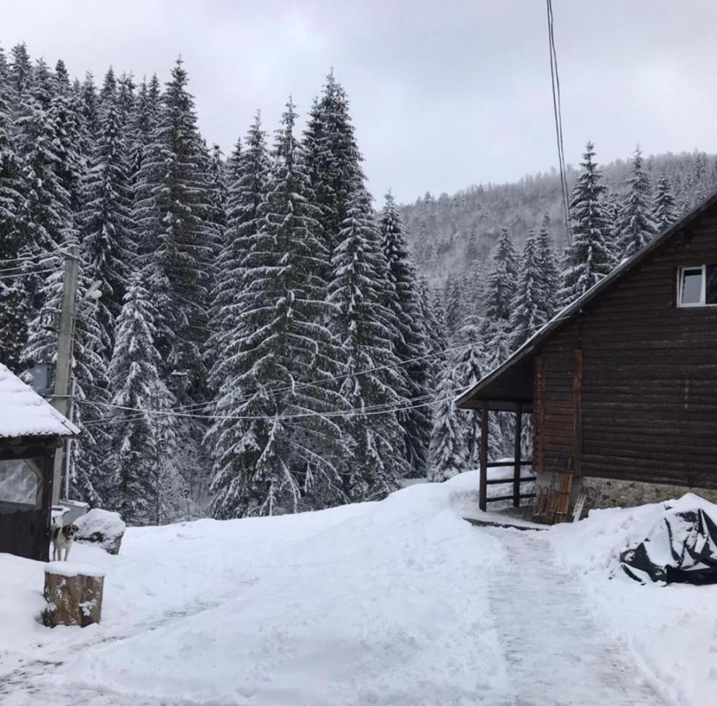 Cabana Patru Brazi Стана-де-Вале Екстер'єр фото