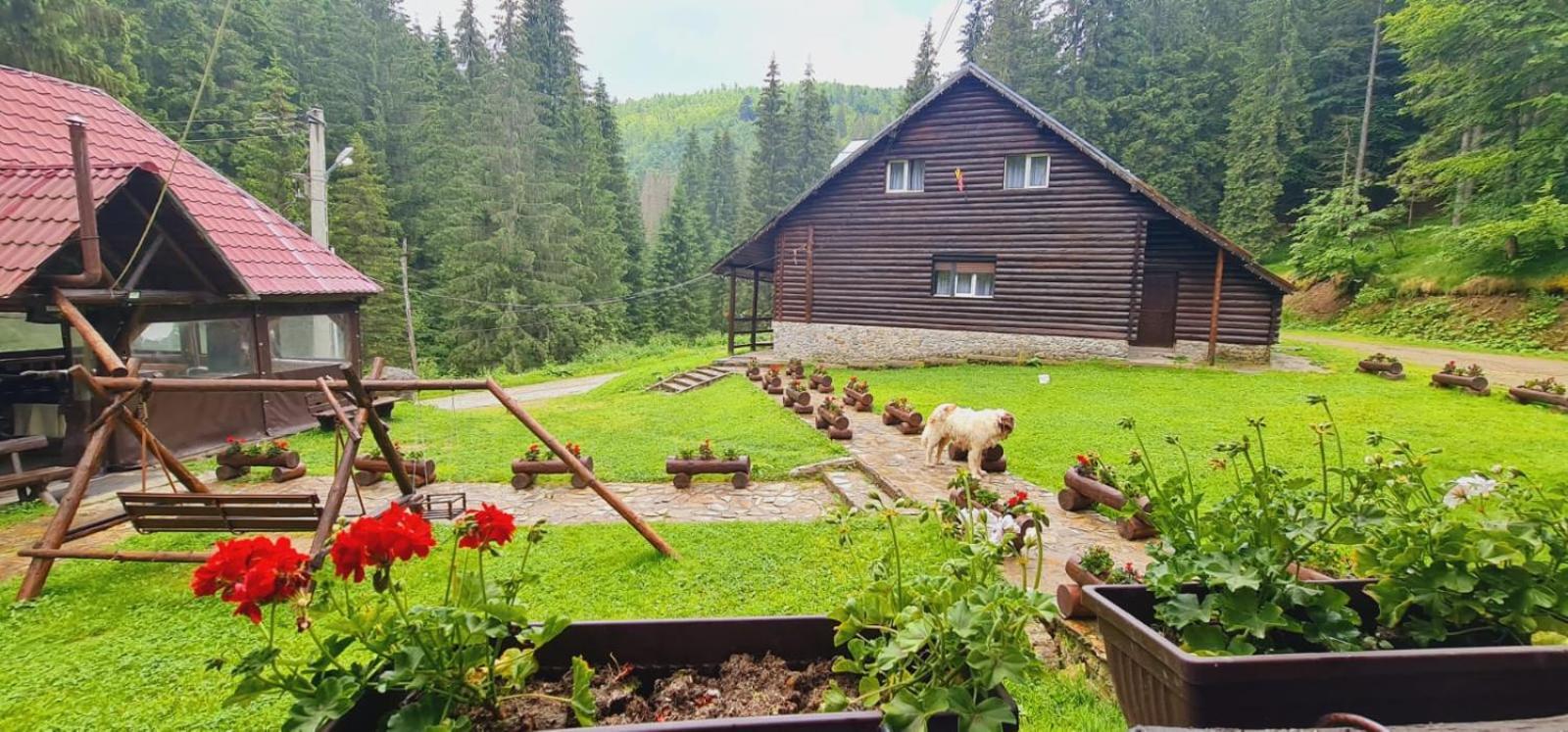 Cabana Patru Brazi Стана-де-Вале Екстер'єр фото