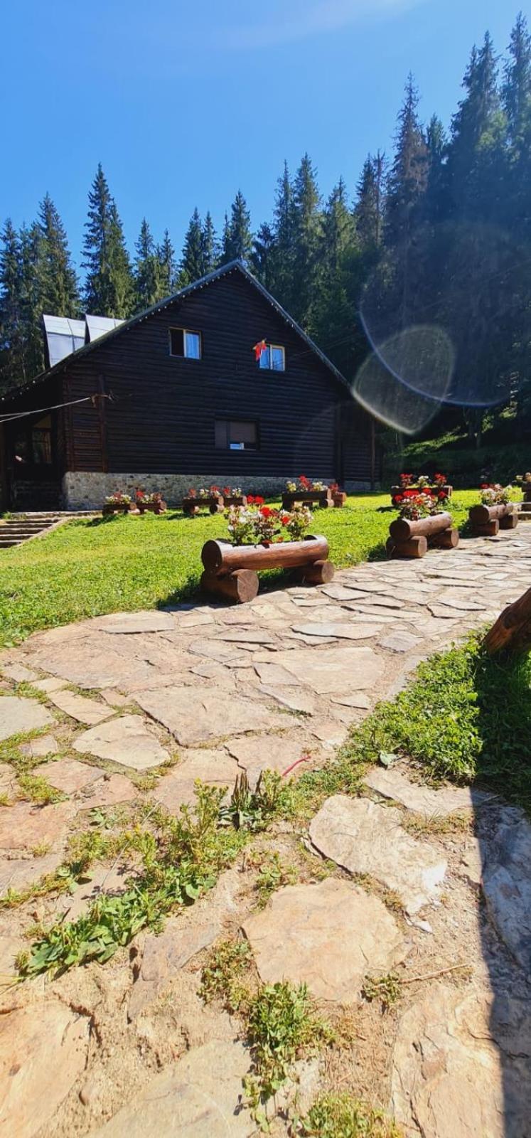 Cabana Patru Brazi Стана-де-Вале Екстер'єр фото