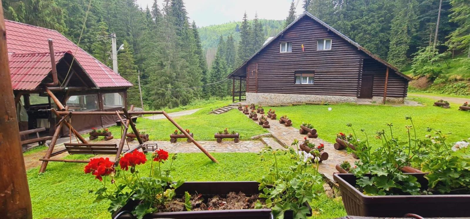 Cabana Patru Brazi Стана-де-Вале Екстер'єр фото