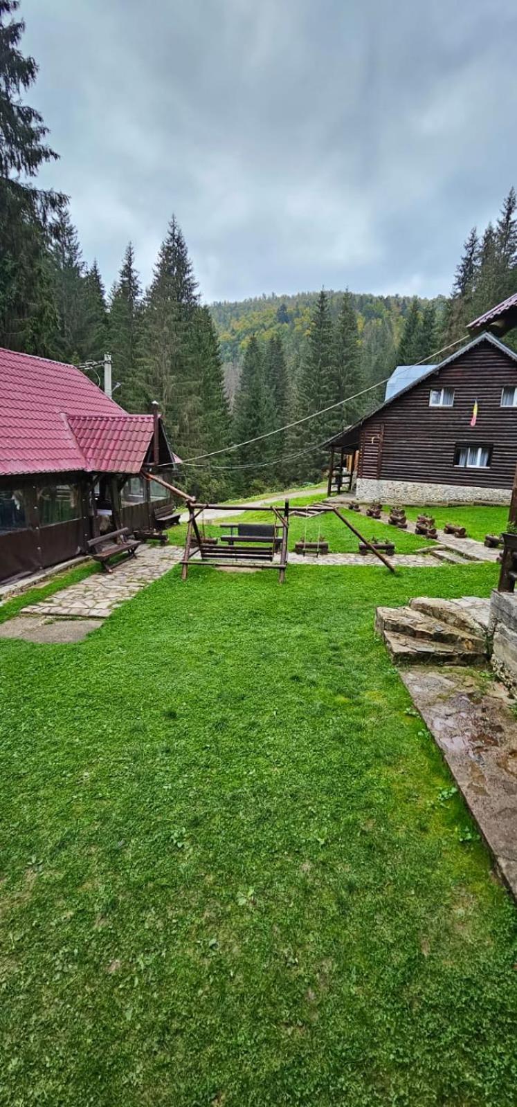 Cabana Patru Brazi Стана-де-Вале Екстер'єр фото
